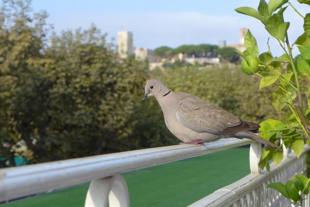 Hotel Splendid Κάννες Εξωτερικό φωτογραφία